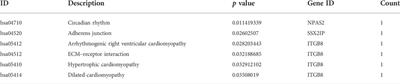 Construction of a ceRNA network in polycystic ovary syndrome (PCOS) driven by exosomal lncRNA